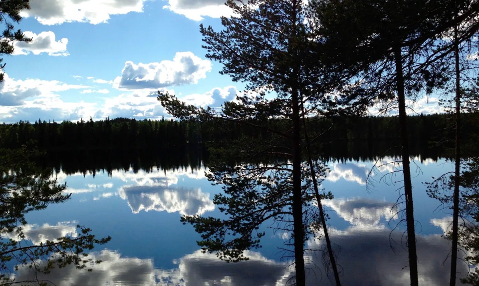 Boka hotell i Bjurholm